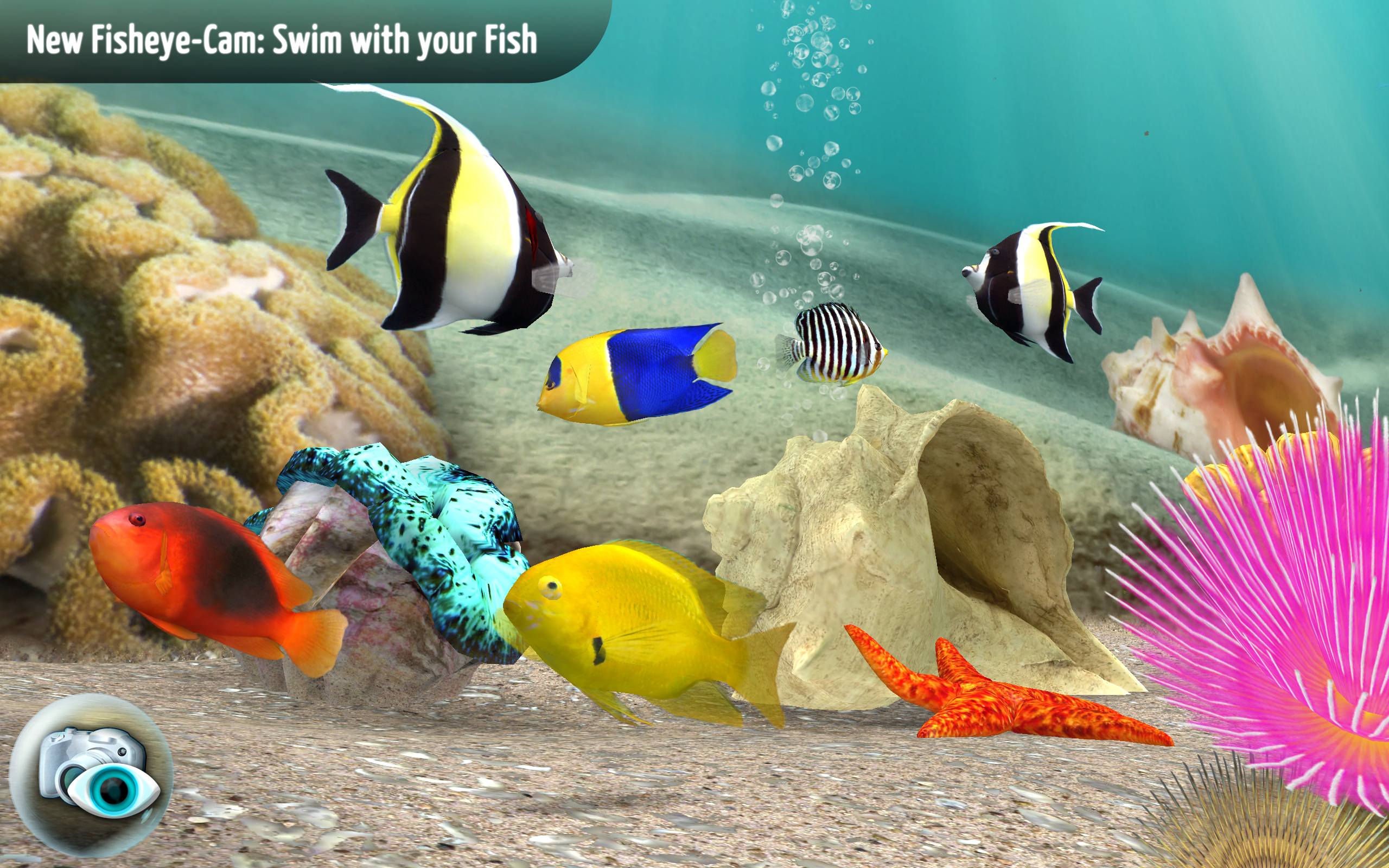 MyReef 3D Aquarium